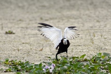 40岁女人控制不住自己情绪