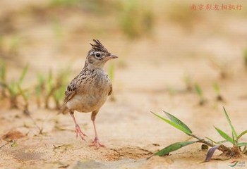 ai真人照片生成