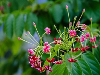 大腿两侧潮湿黏糊糊