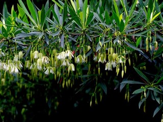 调数校花小说