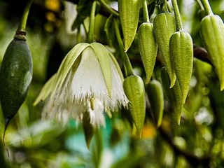 超级y荡的大学校花